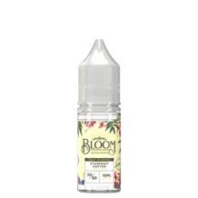 Bloom 10ml Nic Salt (Pack of 10) - Vape Club Wholesale