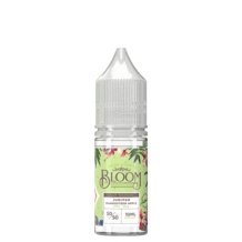 Bloom 10ml Nic Salt (Pack of 10) - Vape Club Wholesale